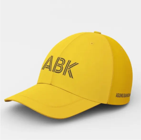 Topi